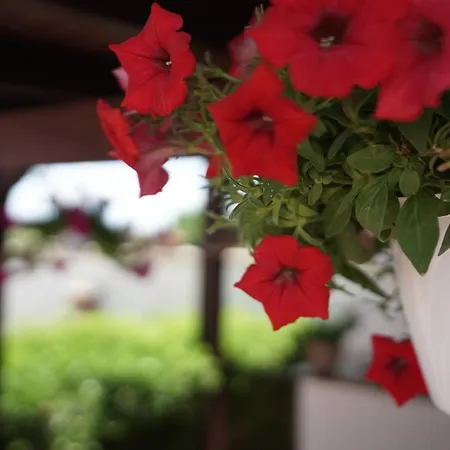 Salento Terra Maris 4*