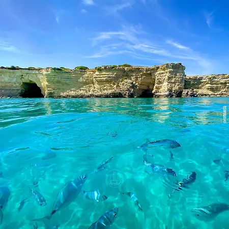Alojamento de Acomodação e Pequeno-almoço Salento Terra Maris