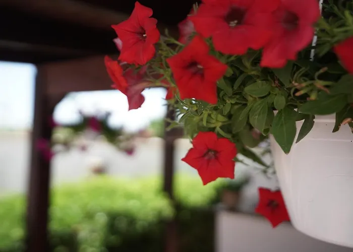 Salento Terra Maris 4*